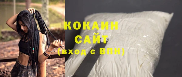 дурь Каменка