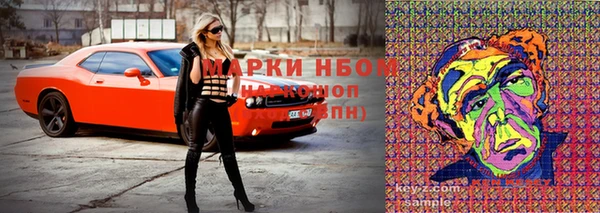 дурь Каменка