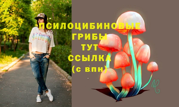 PSILOCYBIN Карпинск