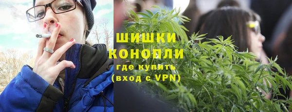 тгк Касимов