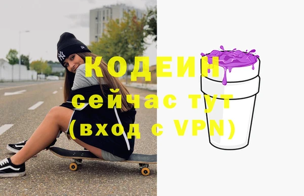 дурь Каменка