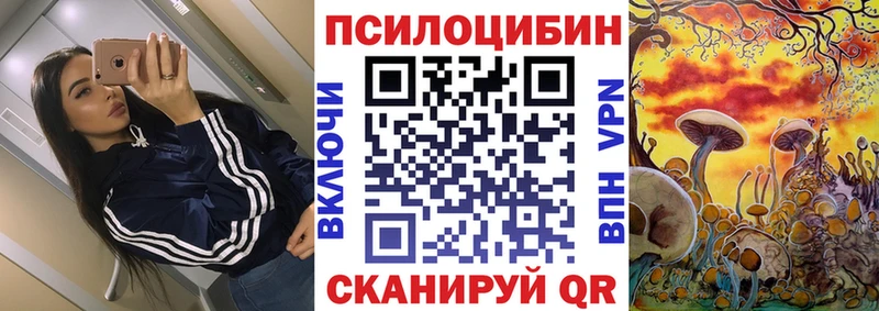 Псилоцибиновые грибы Psilocybe  Купить закладки  Дигора 